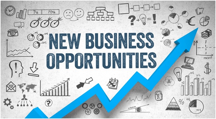 opportunities in business plan