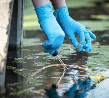 Environmental Site Assessment